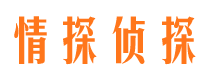 金口河外遇调查取证